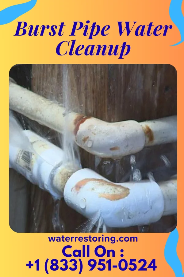Burst Pipe Water Cleanup in Pine Grove, WV