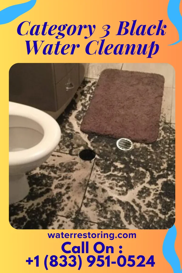 Category 3 Black Water Cleanup in Pine Grove, WV