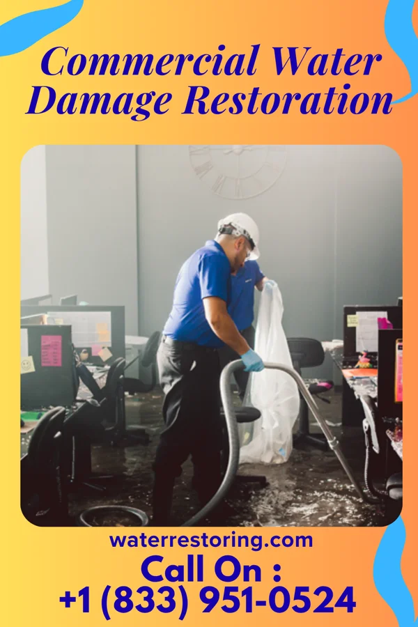 Commercial Water Damage Restoration in Pine Grove, WV