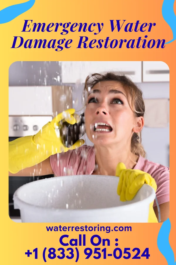 Emergency Water Damage Restoration in Pine Grove, WV
