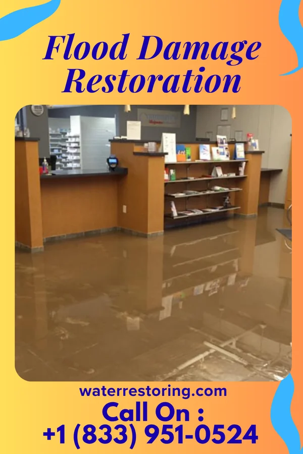 Flood Damage Restoration in Pine Grove, WV