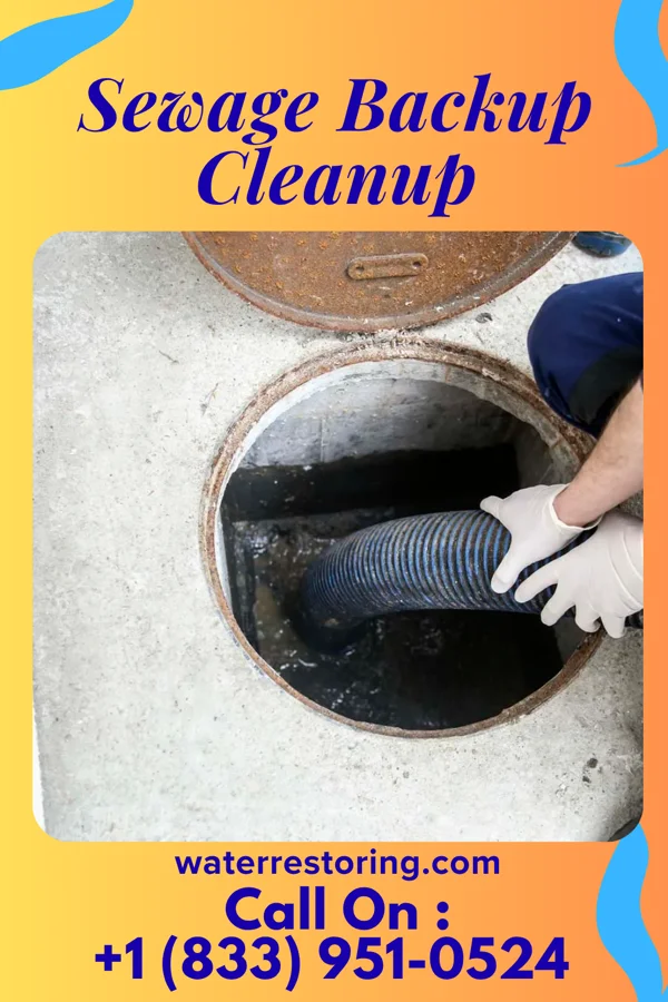 Sewage Backup Cleanup in Pine Grove, WV