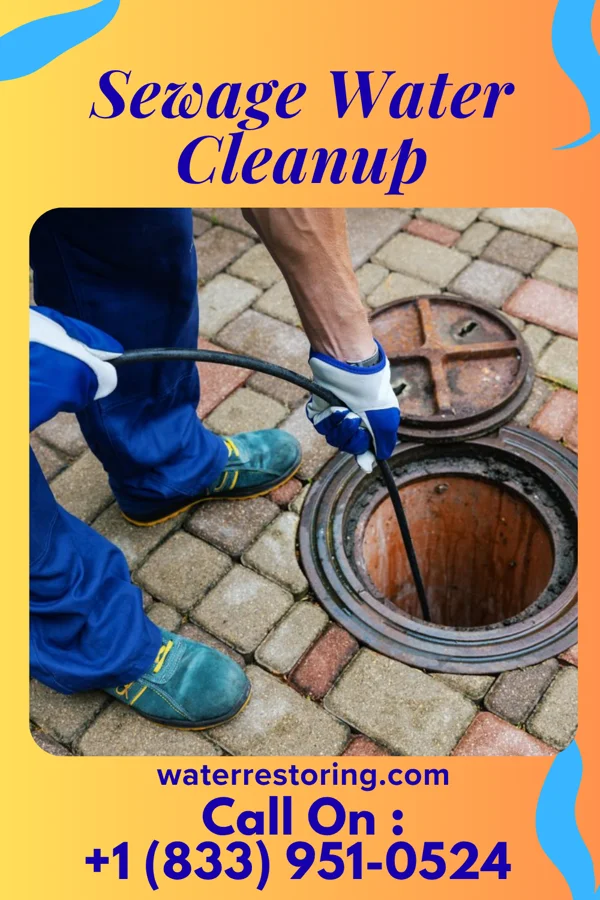Sewage Water Cleanup in Pine Grove, WV